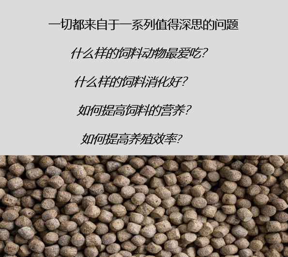 關(guān)于飼料生產(chǎn)的熟化工藝，以及保持器/保質(zhì)器的應(yīng)用解析